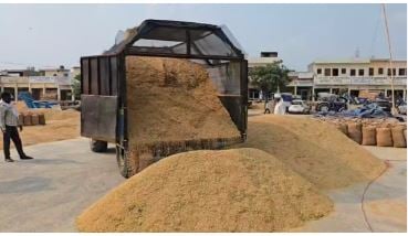यूपी का धान हरियाणा की मंडी में बेचने की कोशिश, आढ़ती और फर्म के खिलाफ FIR दर्ज