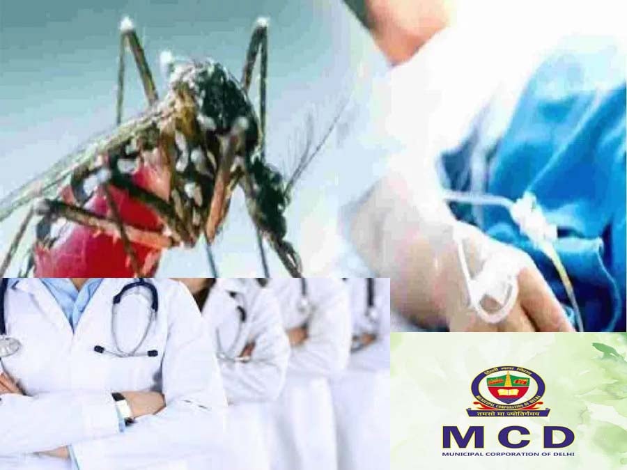 दिल्ली में डेंगू-मलेरिया के बढ़ते खतरे के बीच MCD का फैसला, स्वास्थ्य विभाग में होगी बंपर भर्ती