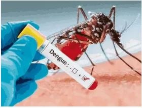Haryana Dengue Alert: डेंगू के 774 से ज्यादा केस, पंचकूला बना हॉटस्पॉट; 53 हजार लोगों को नोटिस