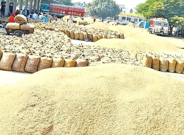 धान खरीद पर सरकार का बड़ा दावा, फिर मंडियों में किसान परेशान क्यों?