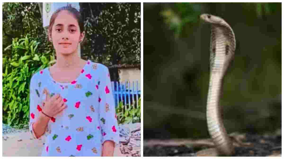 जहरीले सांप के डसने से छात्रा की मौत: खेत में काम करने के बाद लौट रही थीं जिज्ञासा, परिवार में छाया मातम  