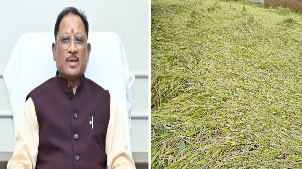 फसल पर चक्रवात ‘अर्नब’ का कहर: प्रभावित किसानों को जल्द मिलेगा बीमा क्लेम, CM साय के निर्देश पर सर्वे में जुटा कृषि विभाग