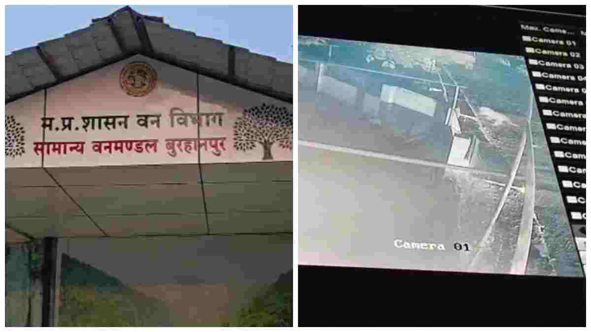 घनी आबादी के बीच मैरिज हॉल में दिखा तेंदुआ: CCTV में कैद हुई घटना; तलाश में जुटा यहां वन विभाग 