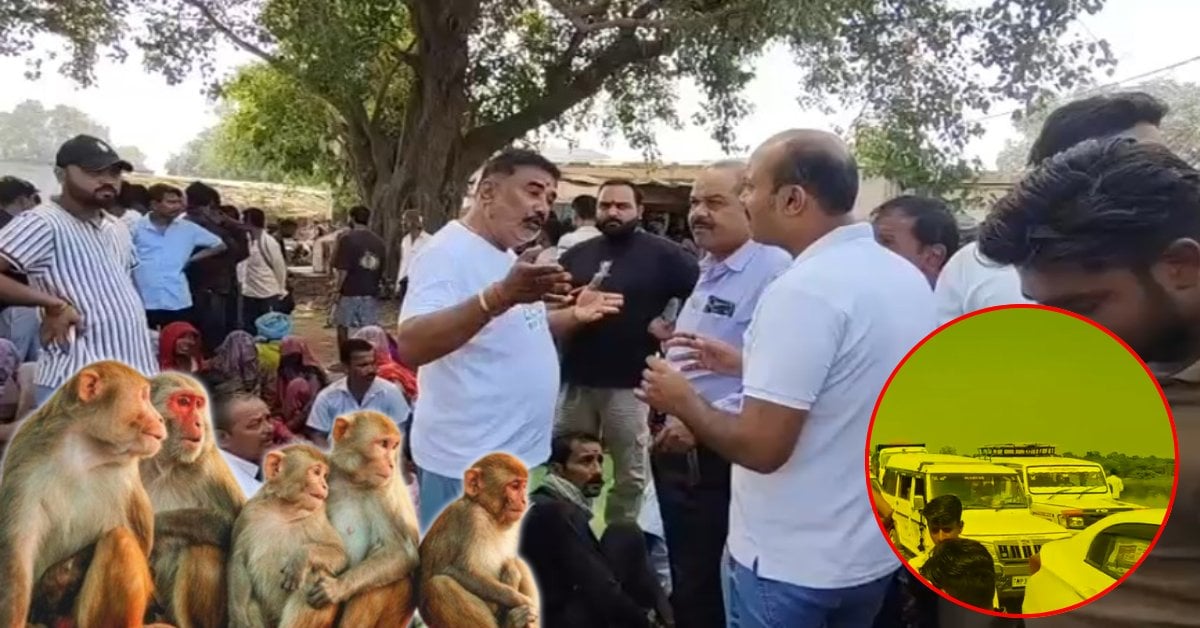ये क्या! बंदरों के आतंक से ग्रामीण परेशान, नेशनल हाइवे पर किया चक्काजाम, 3 घंटे तक थम गए पहिये