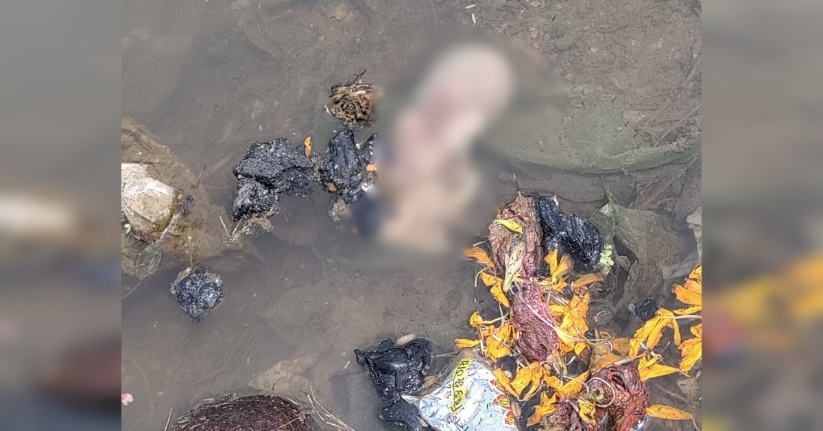 छिंदवाड़ा के कुलबेहरा नदी में मिला नवजात का शव; घाट की सफाई के दौरान पानी में डूबा हुआ दिखाई दिया मासूम