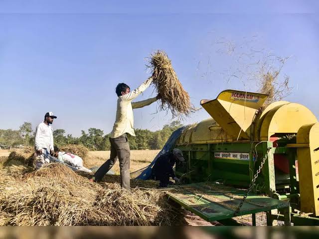 Jharkhand Paddy Procurement 2026-27: झारखंड में 15 दिसंबर से शुरू हो सकती है धान खरीदी, लक्ष्य घटाकर 50 लाख क्विंटल