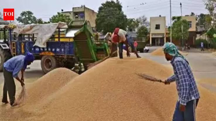 Jharkhand Paddy Procurement 2026-27: झारखंड में 15 दिसंबर से शुरू हो सकती है धान खरीदी, लक्ष्य घटाकर 50 लाख क्विंटल