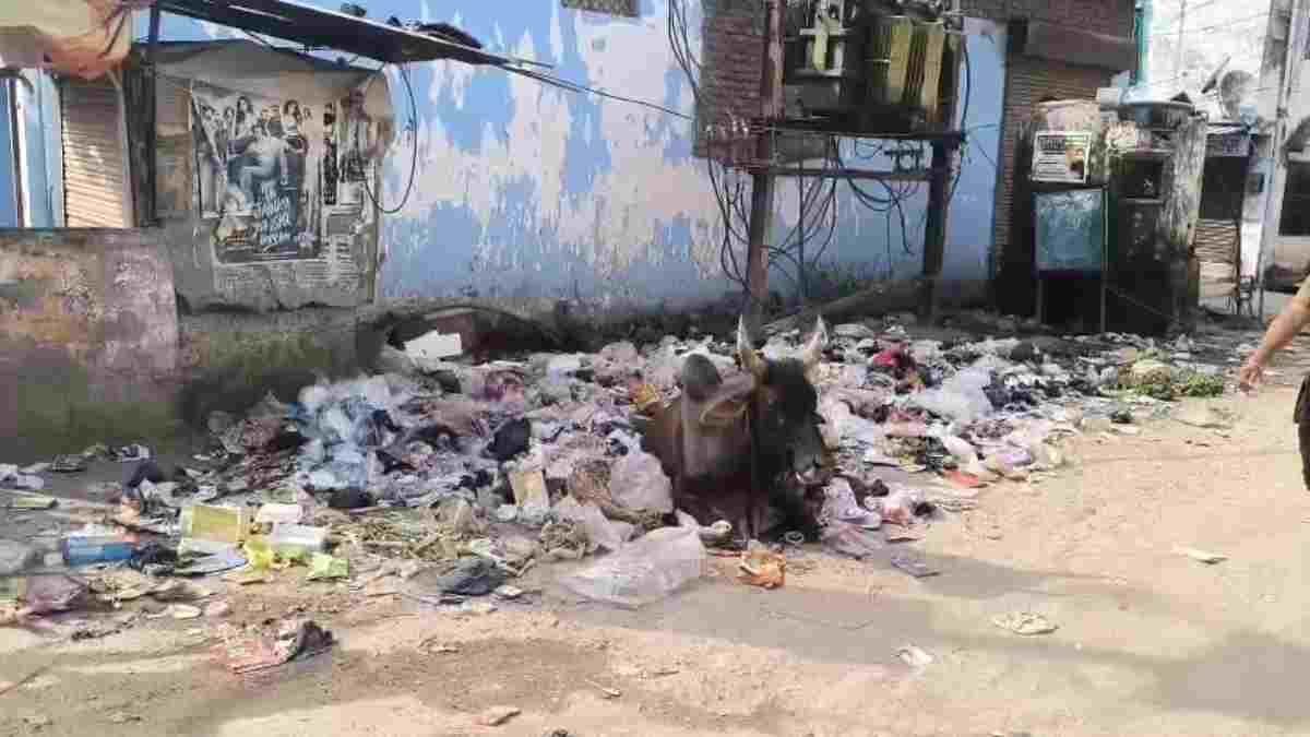 नगर पालिका में नया विवाद: सफाई कर्मचारियों ने शुरू की हड़ताल, शहर में लगे कचरे के ढेर