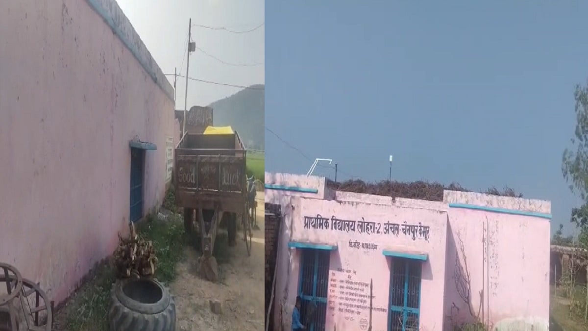 स्कूल है या तबेला? मुख्य गेट पर बंधे रहते हैं मवेशी, ग्राउंड में उपले और छत पर सूख रही सरसों