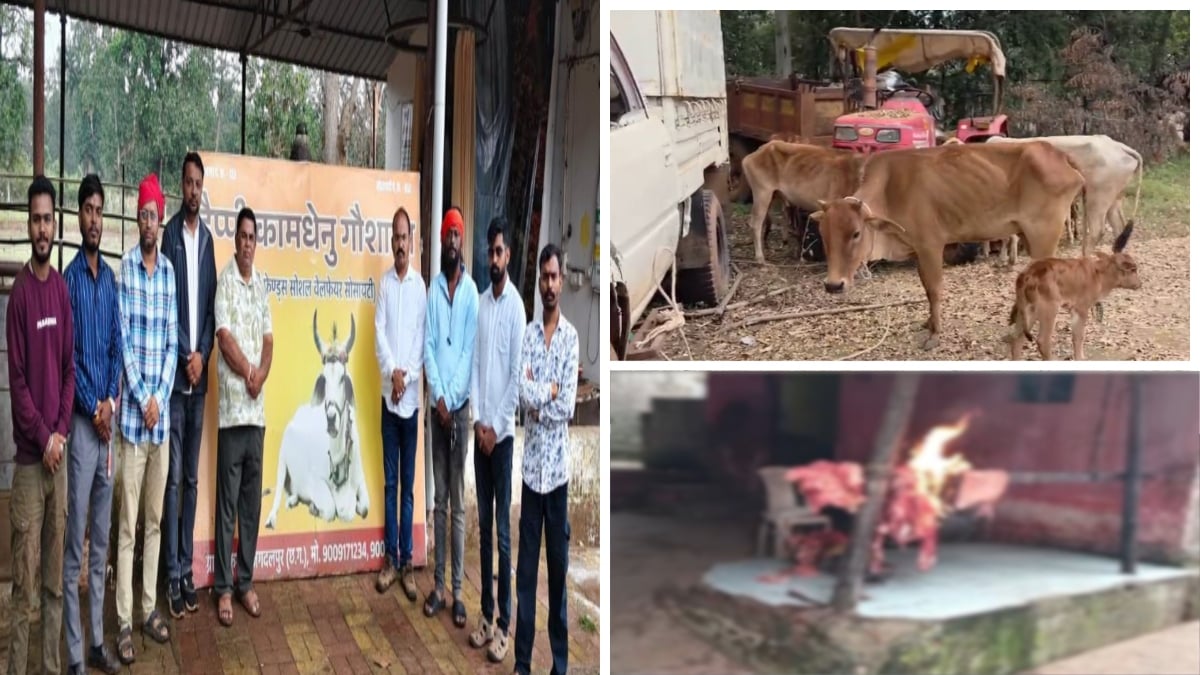 कत्लखाने में मिला 9 क्विंटल गौमांस: 27 गायों का किया गया रेस्क्यू, गौ सेवकों ने उठाई पूरे नेटवर्क की जांच की मांग
