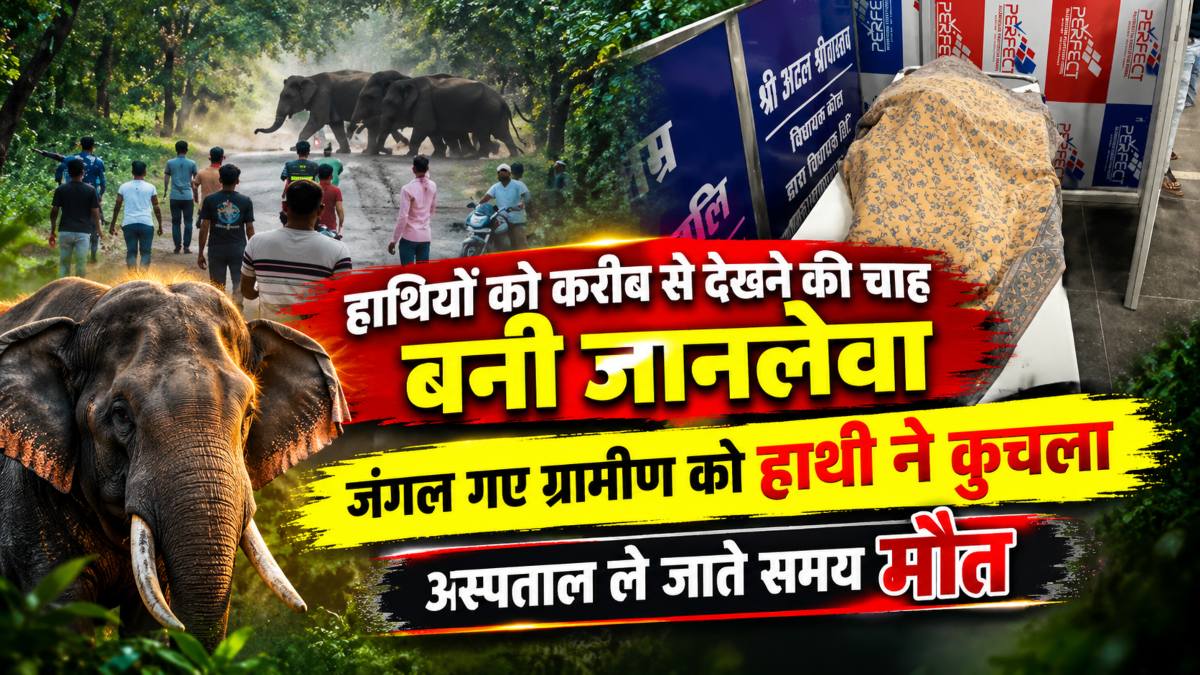 हाथियों को करीब से देखने की चाह बनी जानलेवा: जंगल गए ग्रामीण को हाथी ने कुचला, अस्पताल ले जाते समय मौत