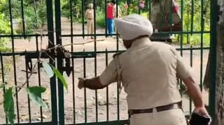 जीरकपुर के नेचर पार्क में मिली सिर कटी लाश, शव देखकर मचा हड़कंप; हत्या की आशंका से जांच में जुटी पुलिस