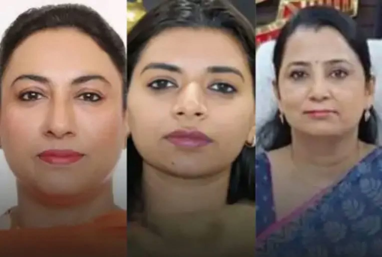 परविंदर सिंह झोटा हत्याकांड: एक्शन कमेटी से बातचीत के लिए सरकार ने बनाई 3 महिला IAS अधिकारियों की टीम, आज AAP विधायकों का होगा घेराव