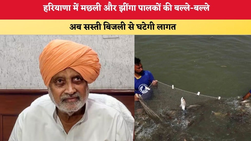 मत्स्य और झींगा पालकों की बल्ले-बल्ले! अब कृषि फीडर से मिलेगी सिर्फ 10 पैसे प्रति यूनिट बिजली