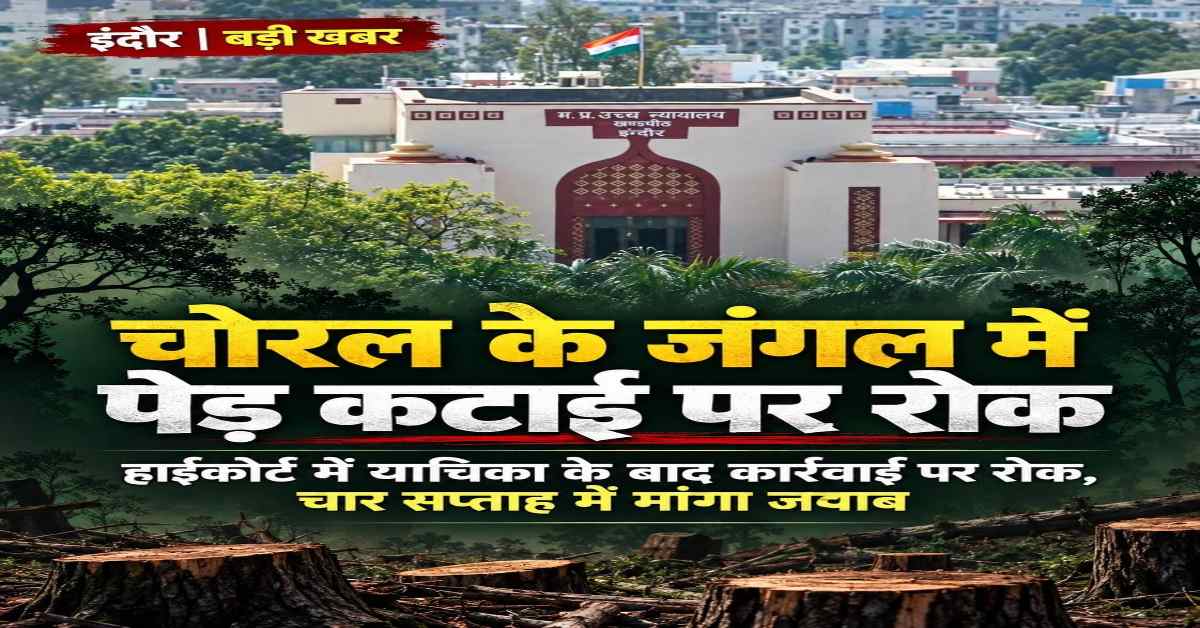 चोरल के जंगलों में ढाई लाख पेड़ों की कटाई पर हाईकोर्ट की रोक! 80 हजार पेड़ कटने का दावा, केंद्र और राज्य सरकार से 4 सप्ताह में मांगा जवाब