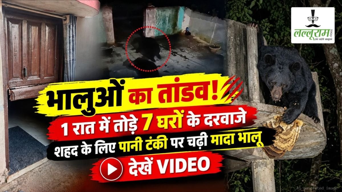 भालुओं का तांडव! 1 रात में तोड़े 7 घरों के दरवाजे, शहद के लिए पानी टंकी पर चढ़ी मादा भालू, देखें VIDEO