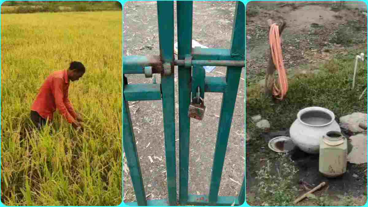 Katni News: मौसम ने बढ़ाई किसानों की परेशानी, कृषि विभाग कार्यालय में ताला, इंतजार के बाद भी अन्नदाताओं को नहीं मिला बीज, आदिवासी गांव में जल का आभाव