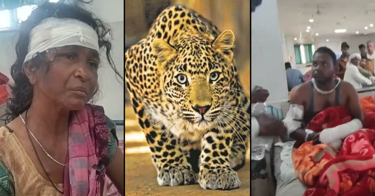 मां पर मंडराया काल तो ढाल बन गया बेटा: तेंदुए से 25 मिनट तक भिड़ा, जान बचाने के लिए मौत से लड़ा!