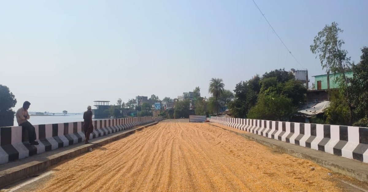 करोड़ों का पुल या मक्का सुखाने का खलिहान? सड़क पर फसल फैलाकर रास्ता किया बंद, जिम्मेदार मौन!