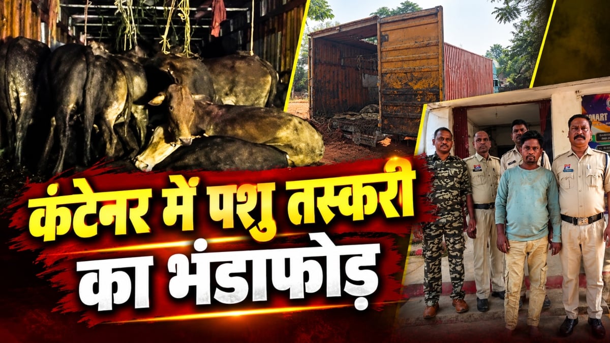 पशु तस्करी का भंडाफोड़: कंटेनर में ठूंस-ठूंसकर भरे 65 गौवंश कराए गए मुक्त, एक आरोपी भी चढ़ा पुलिस के हत्थे