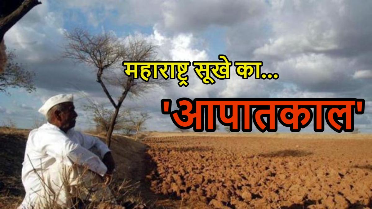 महाराष्ट्र सूखा संकट: तालाब-कुएं खाली हुए, 80 फीसदी फसलें तबाह, 1972 के बाद सबसे बड़ा सूखा, संकट में  फेमस ‘अंगूर हब’