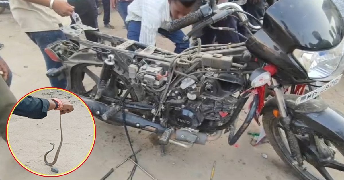 बाइक में ‘लॉन्ग ड्राइव’ पर निकली नागिन! बीच बाजार मचा हड़कंप, मिस्त्री को खोलनी पड़ी पूरी गाड़ी