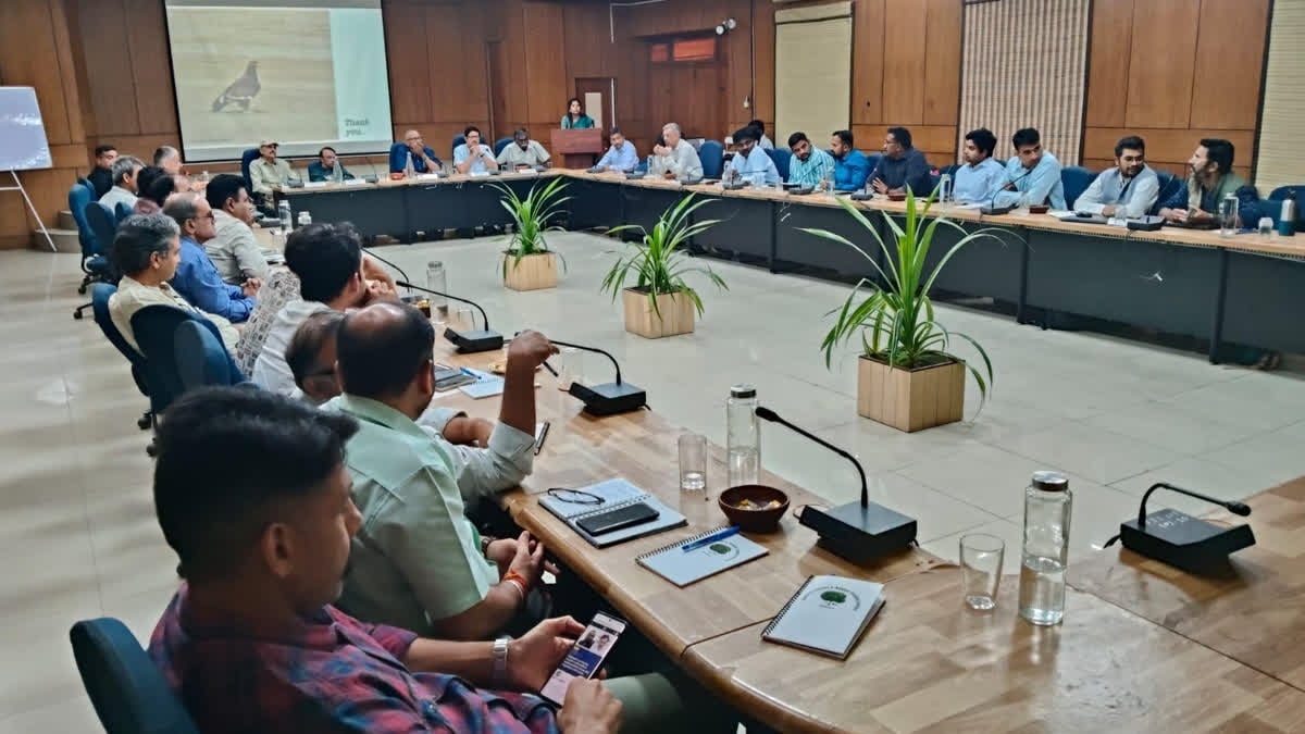राजस्थान में गिद्धों को बचाने के लिए क्या है ‘प्रोजेक्ट रैप्टर’? जानिए पूरी रणनीति