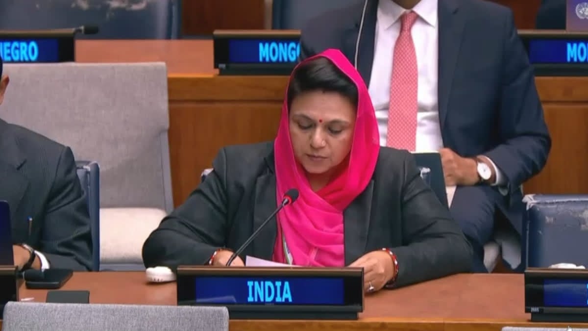 UN में मेवाड़ के दो सांसदों ने उठाए अलग-अलग मुद्दे, महिमा कुमारी और सीपी जोशी ने क्या कहा?