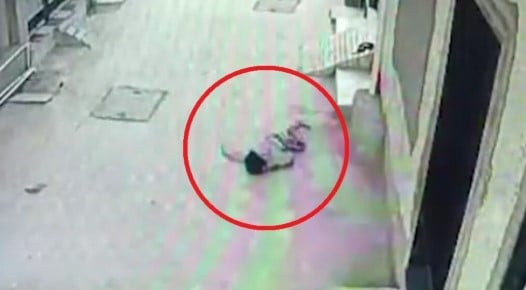 राजकोट में पांचवीं मंजिल से गिरकर दो साल की बच्ची की संदिग्ध मौत, पुलिस जांच में जुटी