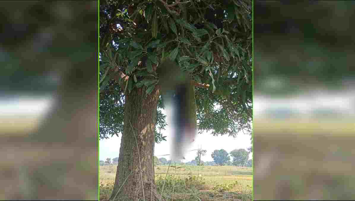 साथ जीने की कसमें खाईं, साथ ही दुनिया को कहा अलविदा, आम के पेड़ पर फंदे से लटके मिले प्रेमी युगल, इलाके में सनसनी