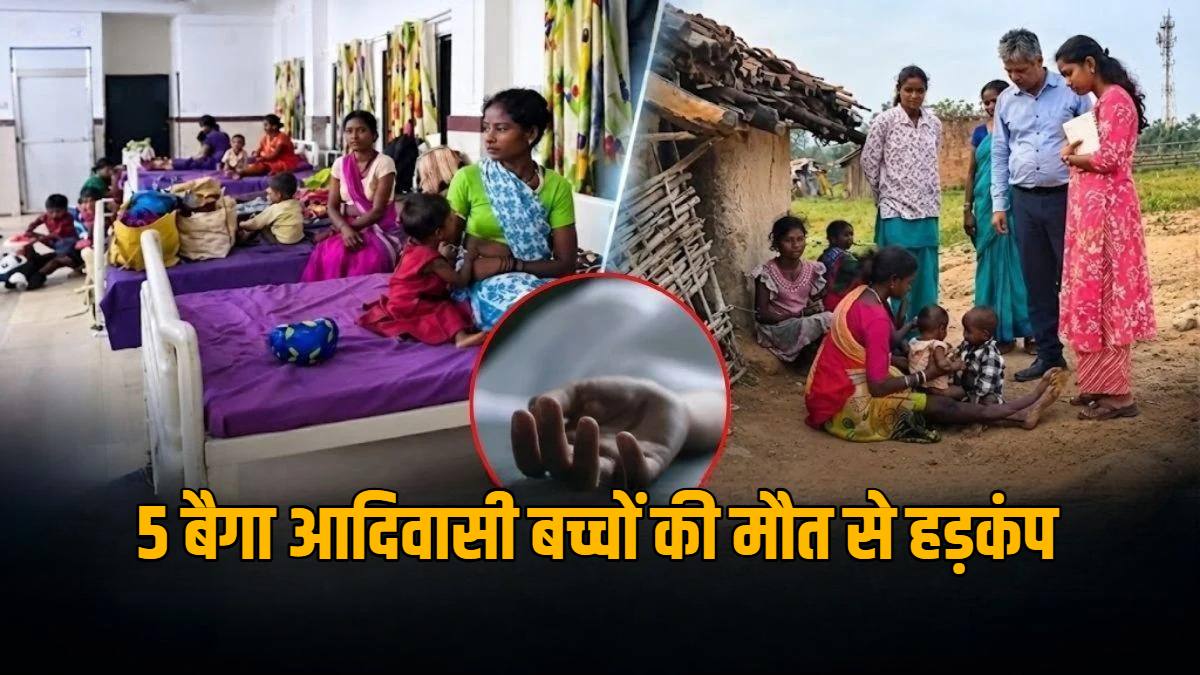 5 बैगा आदिवासी बच्चों की मौत से हड़कंप, कांग्रेस ने गठित की 7 सदस्यीय जांच समिति, गांव जाकर करेगी पड़ताल