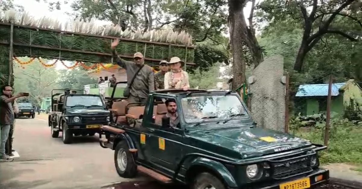 बांधवगढ़ टाइगर रिजर्व: 1 अक्टूबर से शुरू हुई सफारी; बाघिन ‘डॉटी’ की याद में 9 साल बाद भारत लौटी विदेशी महिला