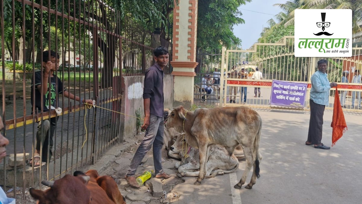 भारतमाला प्रोजेक्ट में उजड़ा घर, मुआवजे के लिए भटक रहा किसान, मवेशियों के साथ कलेक्ट्रेट पहुंचकर जताया विरोध