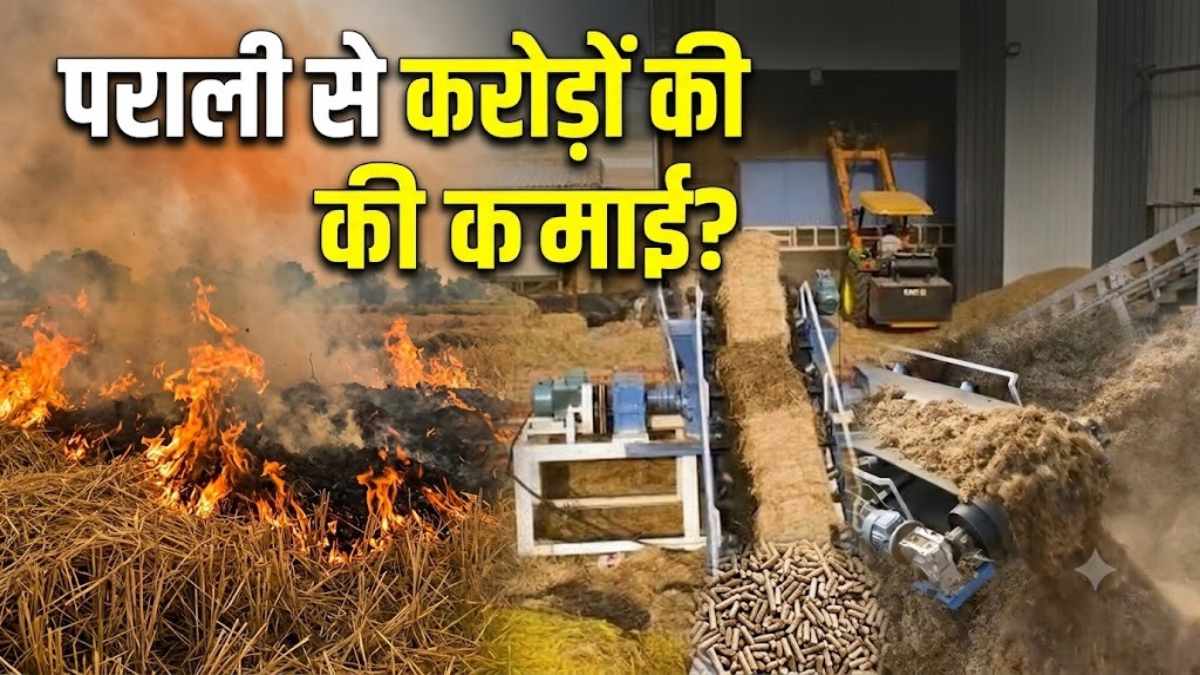 Stubble Business Guide: पराली से करोड़ों कमा रहीं महिलाएं, ईंधन बनाने की फैक्ट्री लगाई, जानिए कैसे शुरू करें बिजनेस ?