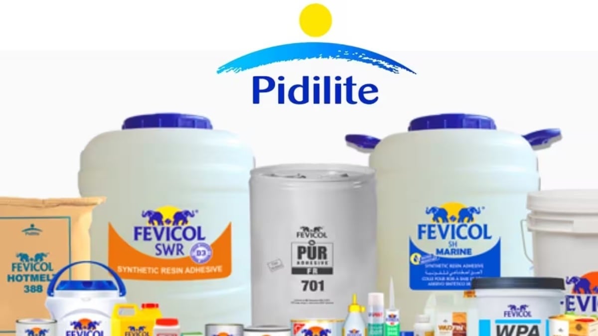 Fevicol Price Hike : फेविकोल 5 रुपए प्रति किलो महंगा, इस साल तीसरी बार बढ़े दाम