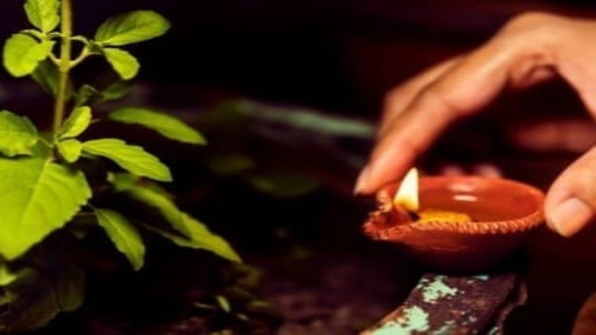 कार्तिक मास में तुलसी के सामने दीपदान क्यों है खास, अभी भी कार्तिक पूर्णिमा तक कर सकते हैं नियमित दीपदान