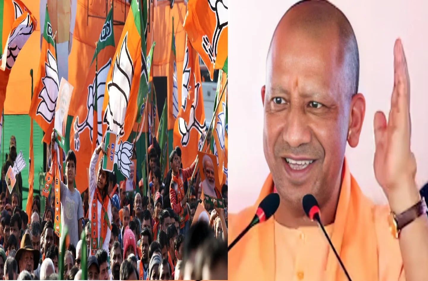 UP Elections: भाजपा ने बिछाई नई सियासी बिसात! मोर्चों का हुआ पुनर्गठन, अनस उस्मानी बने अल्पसंख्यक मोर्चा के प्रदेश अध्यक्ष