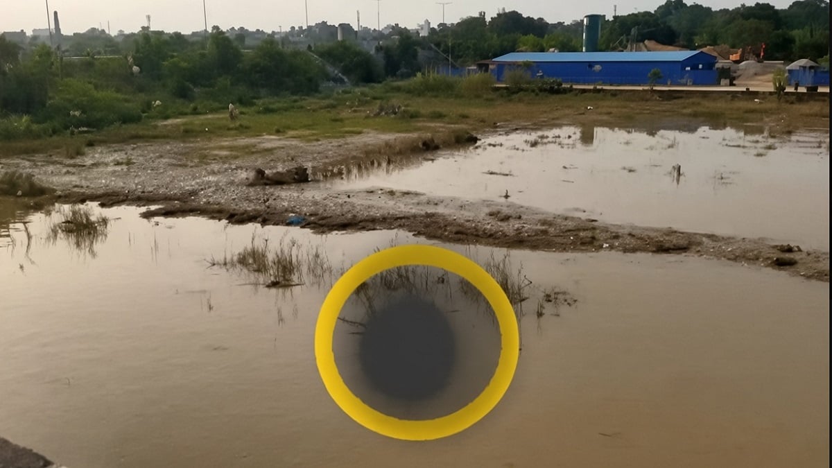 पटना: गंगा में एक साथ महिला और पुरुष का शव मिलने से हड़कंप, जांच-पड़ताल में जुटी पुलिस