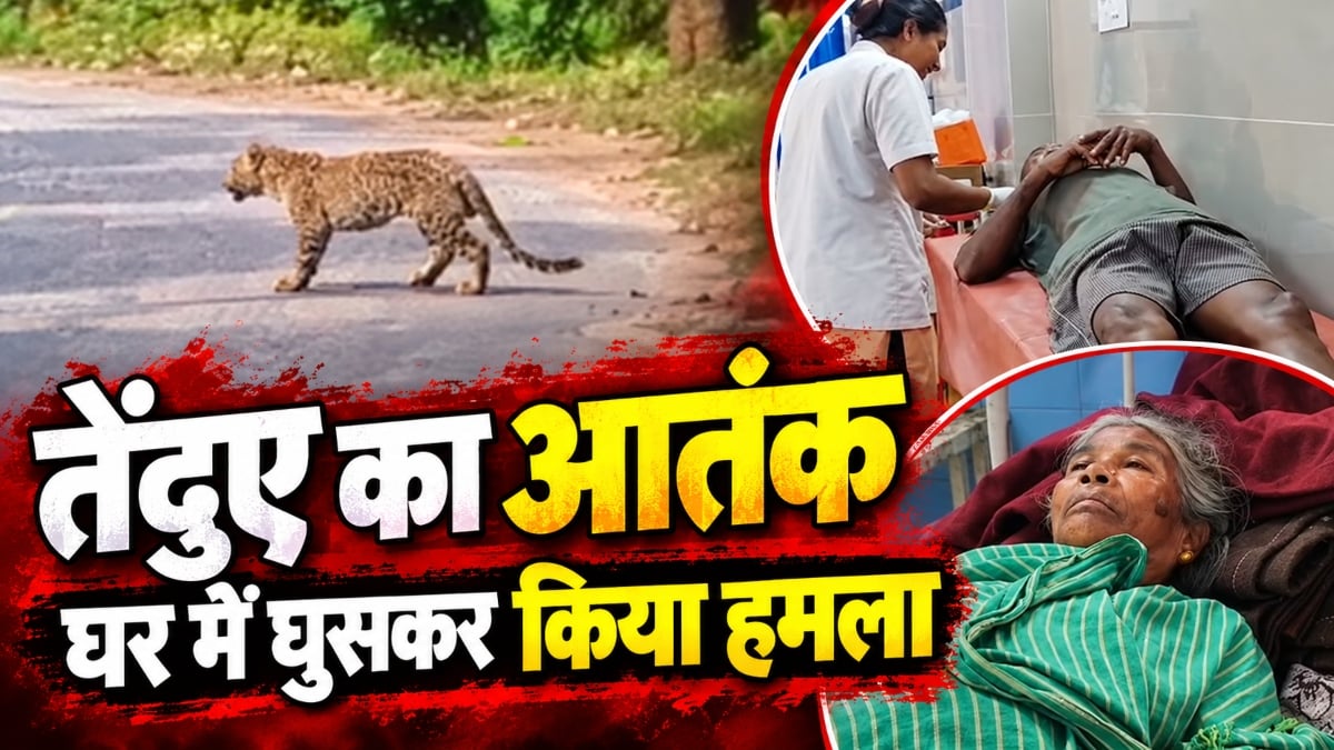 तेंदुए का आतंक: घर में घुसकर तीन लोगों पर किया हमला, ग्रामीणों में दहशत का माहौल