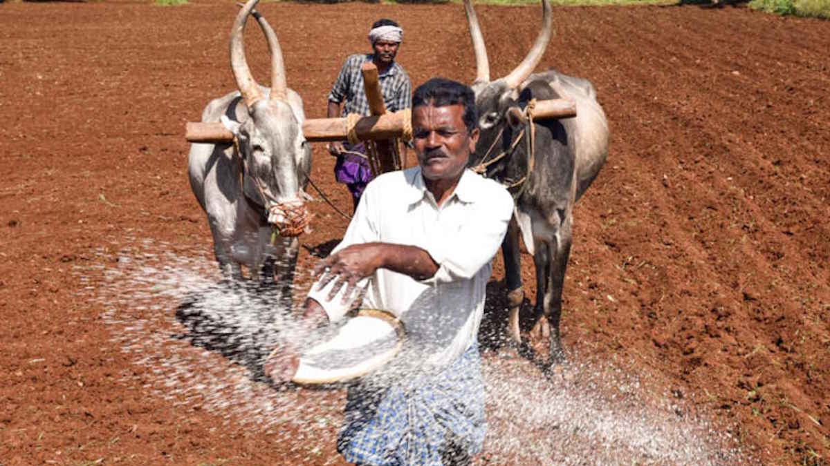 यूरिया के विकल्प के तौर पर ‘ग्रीन अमोनिया’ का सरकार कर रही परीक्षण, दो-तिहाई तक कम हो सकती है उर्वरक की लागत…