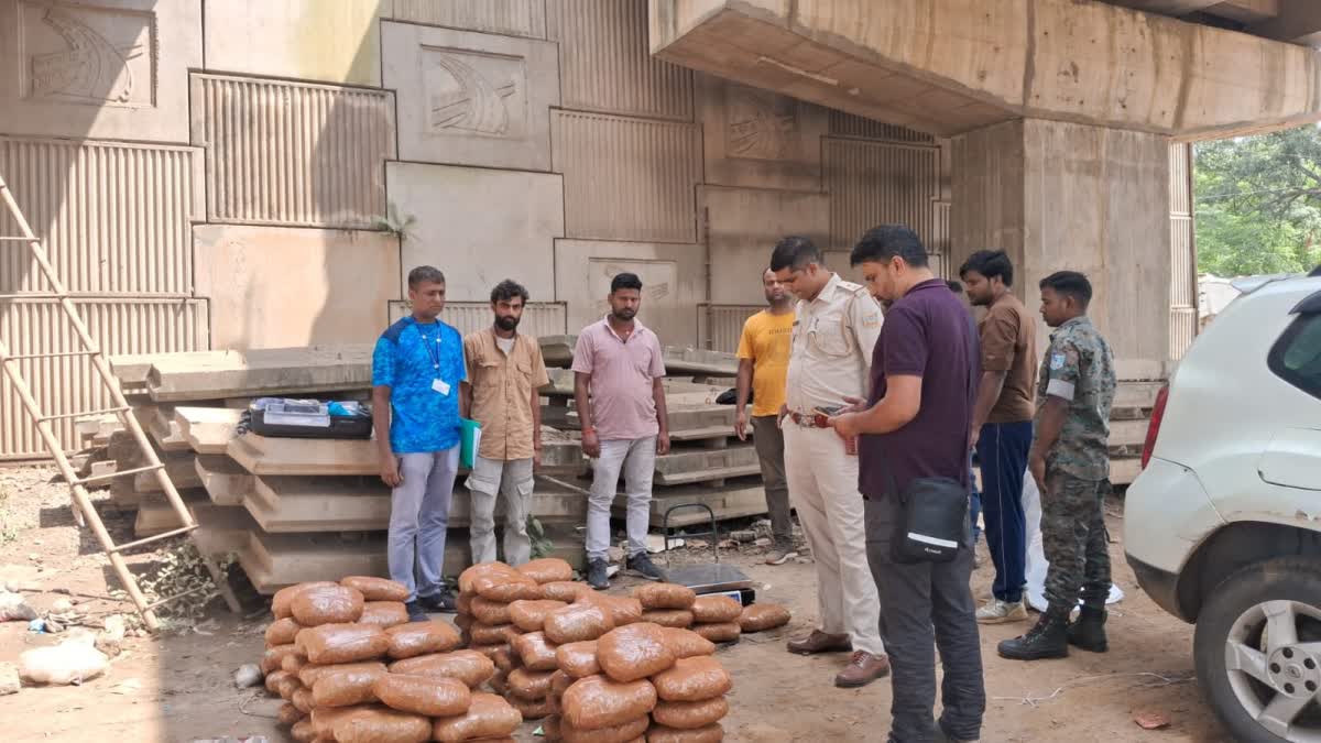 Ranchi News: 97 किलो गांजा की बड़ी खेप पकड़ी गई, NCB और पुलिस ने 3 तस्करों को दबोचा