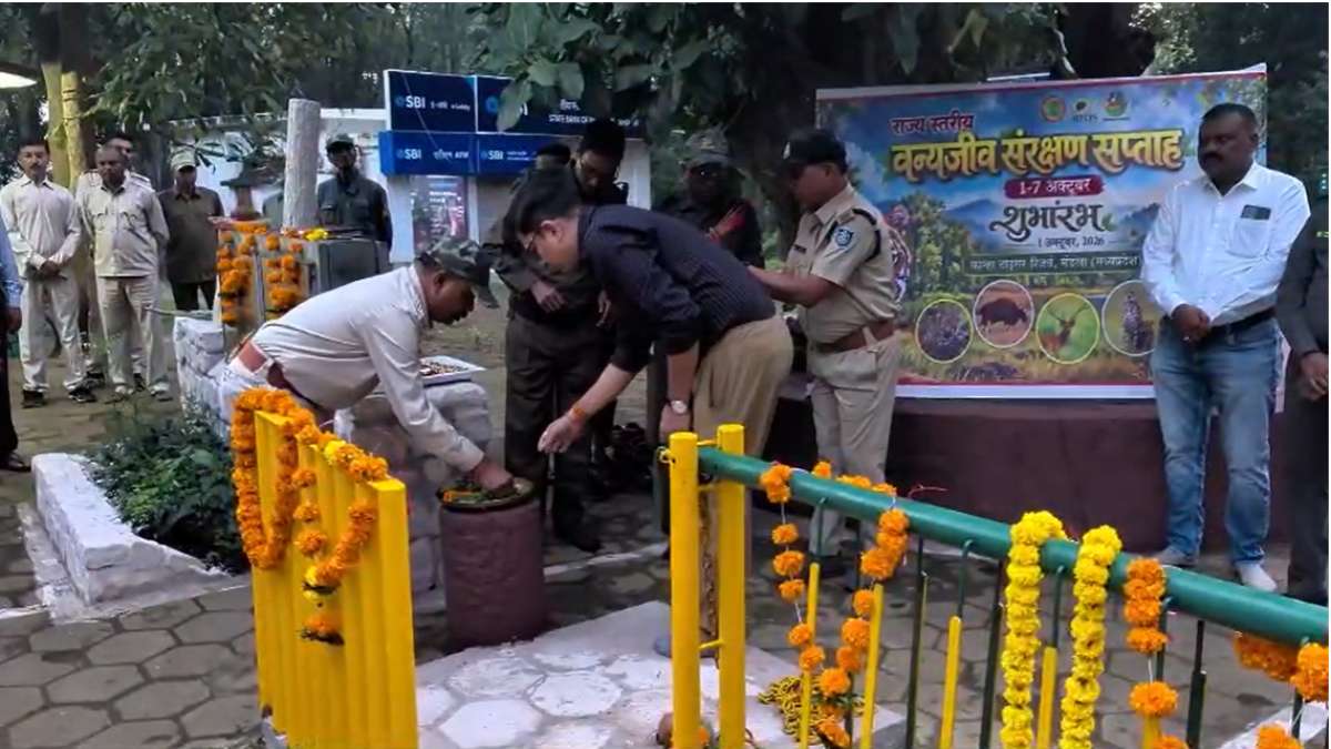 मंडला में कान्हा टाइगर रिजर्व के दरवाजे खुले: मानसून ब्रेक के बाद आज से शुरू हुई सफारी, पहले दिन पहुंचे ओलंपिक पदक विजेता नीरज चोपड़ा और गगन नारंग