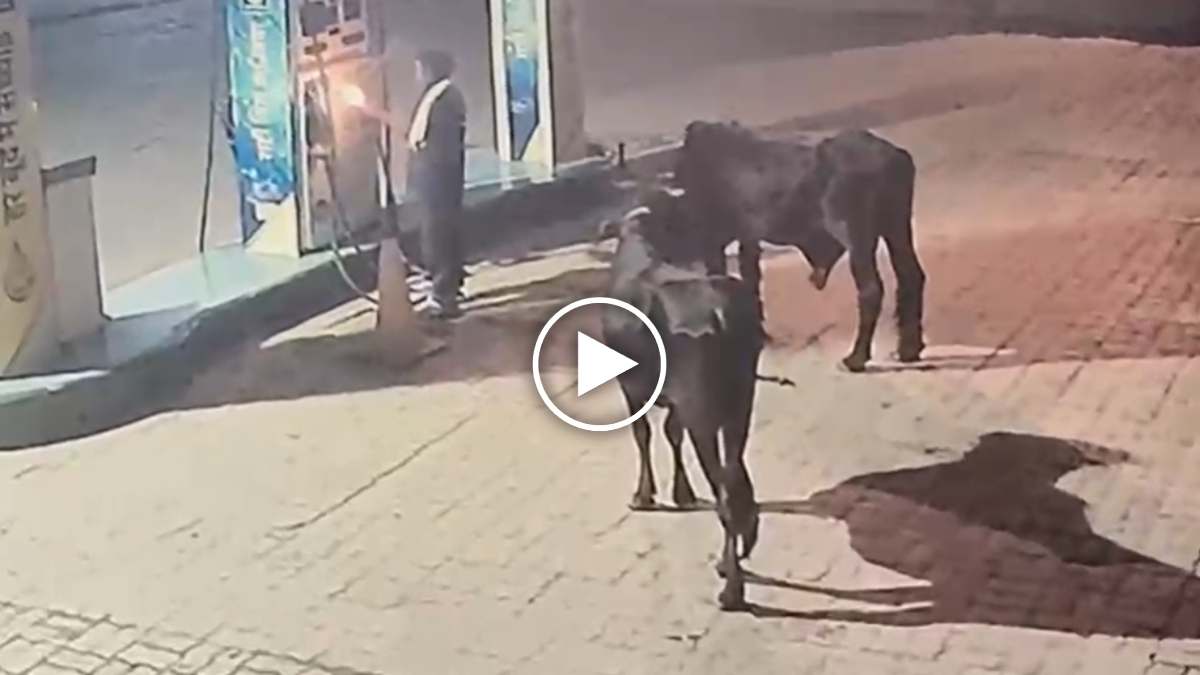 Video: पेट्रोल पंप फूंकने की कोशिश, दो बाइकों में भी लगाई आग, आरोपी की तलाश में जुटी पुलिस