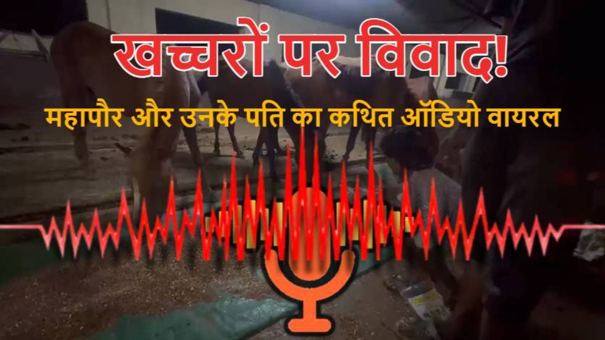 खच्चरों को गौठान से ईंट-भट्ठे ले जाने पर विवाद, महापौर और उनके पति का कथित ऑडियो वायरल