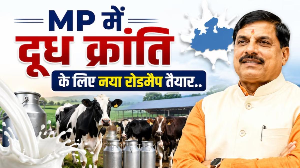 MP को दूध उत्पादन में नंबर वन बनाने की तैयारी: ‘गोपालकृष्ण ग्राम पुरस्कार योजना’ की शर्तें तय, गोपालकों को मिलेंगे 1 लाख तक के पुरस्कार