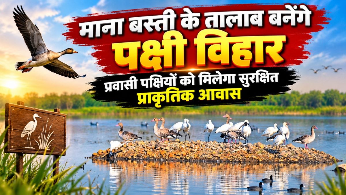 माना बस्ती के तालाब बनेंगे पक्षी विहार: प्रवासी पक्षियों को मिलेगा सुरक्षित प्राकृतिक आवास, जनपद CEO ने पंचायत को कार्ययोजना बनाने दिए निर्देश