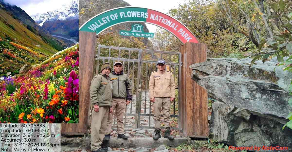 फूलों की घाटी ने तोड़े पर्यटन के सारे रिकॉर्ड, इस सीजन पहुंचे 35 हजार से ज्यादा सैलानी