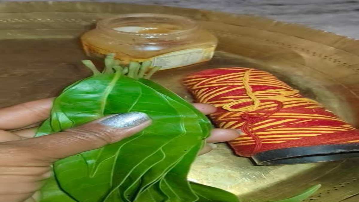 नवरात्रि का खास उपाय : कर्ज और आर्थिक तंगी से मुक्ति के लिए आम के 11 पत्तों पर लगाएं शहद, फिर इस स्थान पर जाकर रख दें