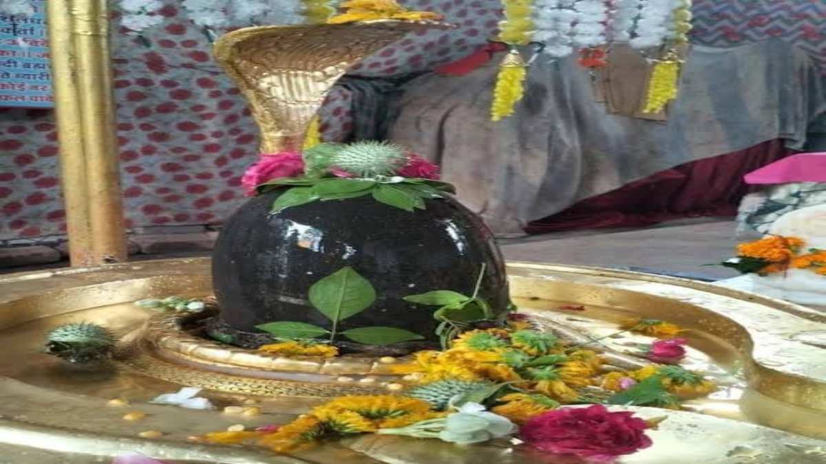 सोमवार से रविवार तक इन चीजों को शिवलिंग पर चढ़ने से पूरी होती है मनोकामना
