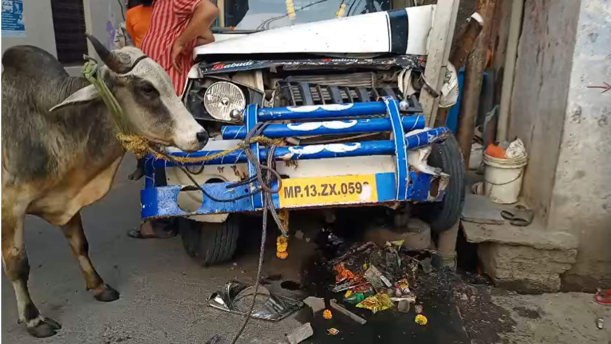 सब्जी मंडी में गौवंश से भरी अनियंत्रित पिकअप ने 4 लोगों को रौंदाः महिला की मौत, तीन घायल